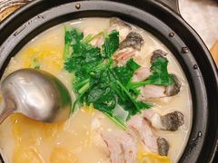 排骨白鳝煲-满乐潮州(深业上城店)