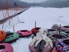 -亚布力新体委滑雪场