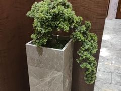-小天厨民间菜馆(深圳街店)