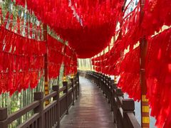 -游子山休闲旅游区