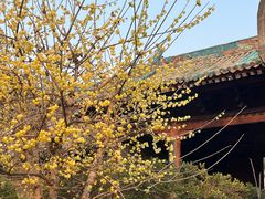 -大学习巷清真寺