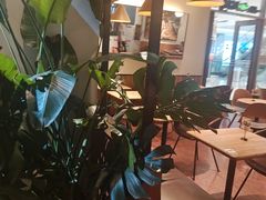 -Wagas沃歌斯(枫蓝国际店)