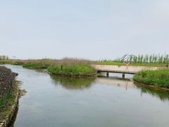 -春花秋色城市公园