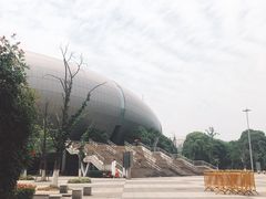 -奥林匹克体育中心游泳跳水中心