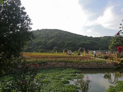 -龙寺生态园
