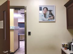 -美联众合动物医院·24h转诊中心