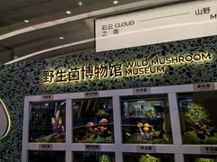 -芸山季·云南山珍菌火锅(南翔印象城MEGA店)