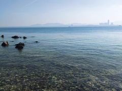 -养马岛旅游度假区