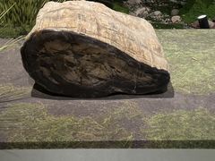 -遇见博物馆(遇见海洋沉浸式奇幻光影展)