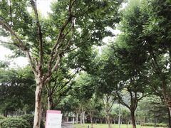 -暨阳湖生态园