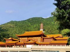 -深圳仙湖植物园