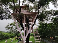 -福建鲤鱼洲酒店