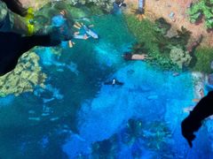 -珠海横琴国家地理探险家中心(创新方)