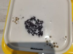 -满记甜品(水游城店)