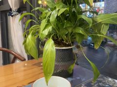 -白家寨子·山野白族菜(古城总店)