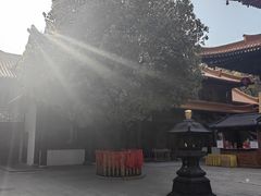 -亭林园-华藏寺