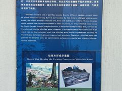 -延庆地质公园博物馆