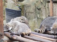 -杭州野生动物世界