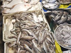 -大连熟食品交易中心