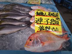 -海鮮寿司とれとれ市場