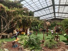 -呀路古热带植物园