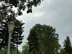 -深圳湾公园(南山区)