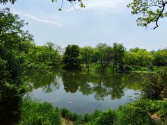 -西溪国家湿地公园