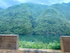 -秦巴石锅鱼(文化南路店)