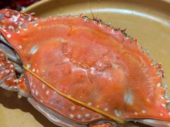 -海底捞大排档火锅(打浦路店)