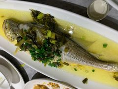 -老绍兴养和饭店(向阳不夜城店)