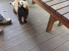-普洱太阳河森林公园