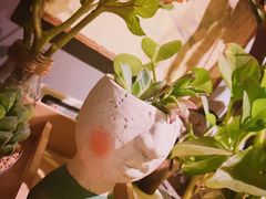 -84那年咖啡馆(李沧万达店)
