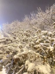 -妃格美发沙龙·烫发·染发
