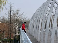 -大兴滨河森林公园