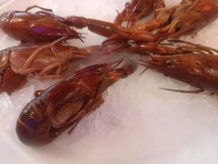 -红盔甲·小龙虾(车公庙店)