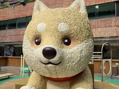 -新城市广场