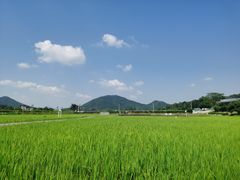 -艾米稻香小镇