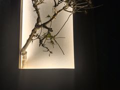 -大桶大足浴(田林路店)