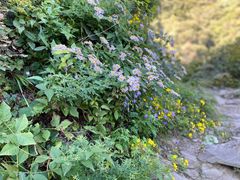 -阳台山自然风景区