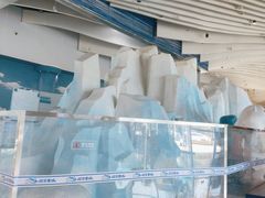 -长沙湘江冰雪世界