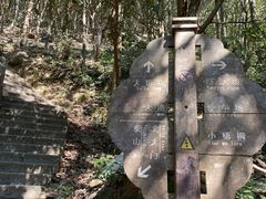 -梧桐山风景名胜区