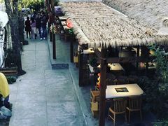 -二荆条·蜀鲜汇城市森林火锅