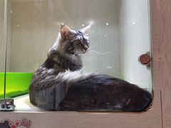 -乐宠宠物店(世纪金源店)