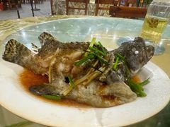-四姑娘川味海鲜(八爪鱼店)