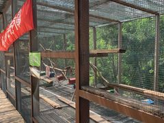 -欢乐松鼠谷