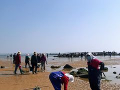 -巧克力渔家.小船海鲜胶东菜(万平口店)