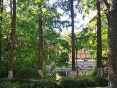 -苏州河梦清园环保主题公园