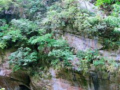 -太鲁阁公园