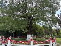 -东台西溪天仙缘景区