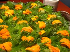 -初花·日本料理